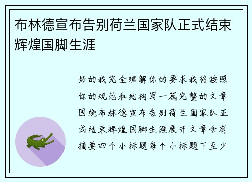 布林德宣布告别荷兰国家队正式结束辉煌国脚生涯