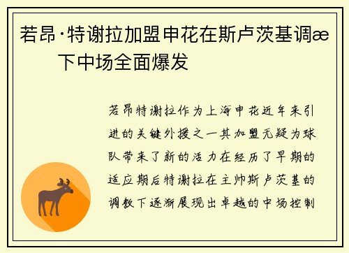 若昂·特谢拉加盟申花在斯卢茨基调教下中场全面爆发